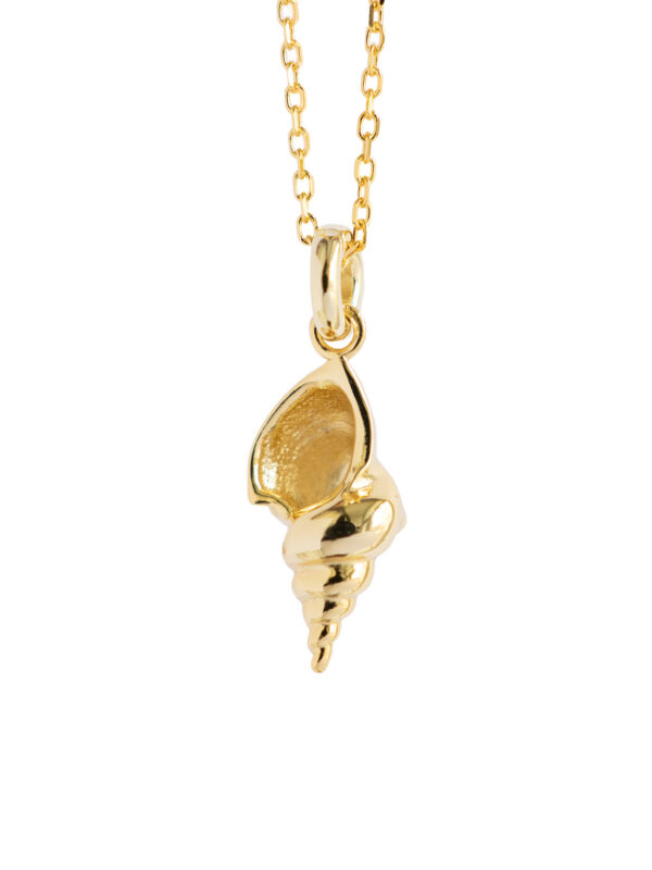 NIGHT SHELL NECKLACE – GOLD